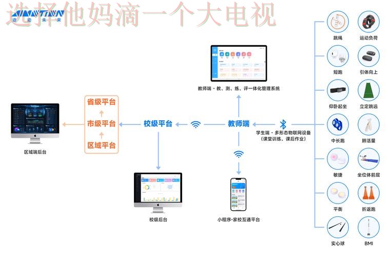 深入解析凯发体育正规版应用特点