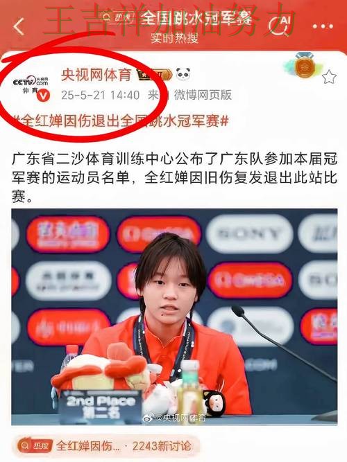 中国跳水队主场取胜延续连胜势头 赛后分析指出关键问题 中国跳水队主场取胜延续连胜势头 赛后分析指出关键问题